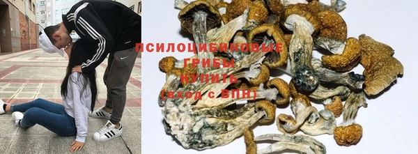 молекула духа Армянск