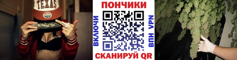 Бошки Шишки OG Kush Почеп